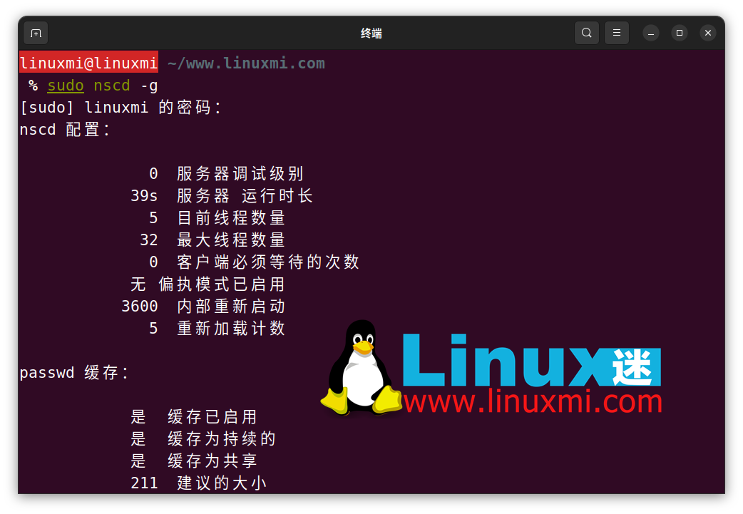  Linux ˢ DNS 